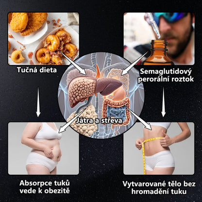 HHVB® GLP-1 Slimming & Health Boost Drops | Spalovač tuků potravinářské kvality (Vyvinuto společností The Obesity Society)